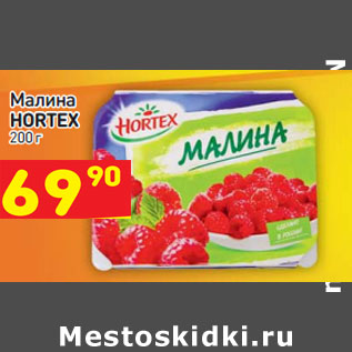 Акция - Малина HORTEX