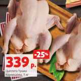 Магазин:Виктория,Скидка:Цыплята Тушка
Корнишоны, 1 кг