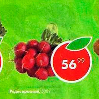 Акция - Редис красный