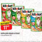 Магазин:Верный,Скидка:Корм для кошек Kitikat