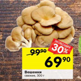 Акция - Вешенки свежие