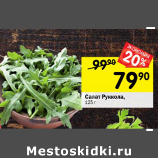 Акция - Салат руккола