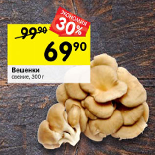 Акция - Вешенки свежие