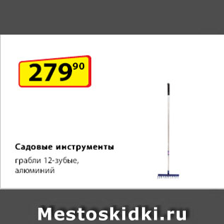 Акция - Садовые инструменты грабли 12-зубые, алюминий