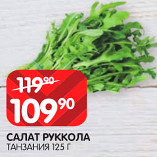 Акция - Салат Руккола