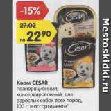 Магазин:Карусель,Скидка:Корм CESAR для взрослых собак 100г