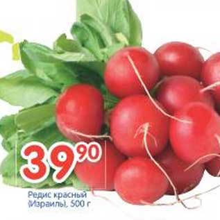 Акция - Редис красный