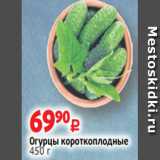 Виктория Акции - Огурцы короткоплодные
450 г 
