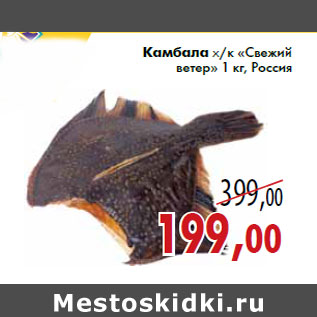 Акция - Камбала х/к «Свежий ветер» 1 кг, Россия