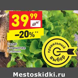 Акция - Салат в горшочке уп