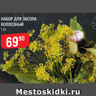Акция - НАБОР ДЛЯ ЗАСОЛА КОЛХОЗНЫЙ 1 уп.