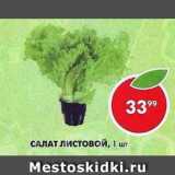 Пятёрочка Акции - Салат листовой