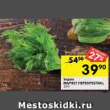 Магазин:Перекрёсток,Скидка:Укроп MAРKET ПЕРЕКРЕСТОК
