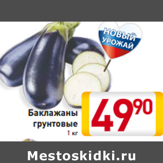 Акция - Баклажаны грунтовые
