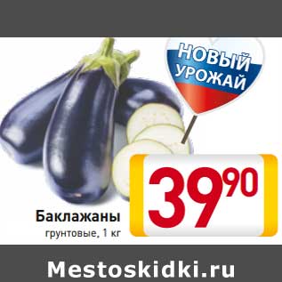 Акция - Баклажаны грунтовые
