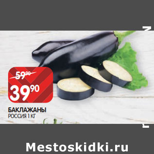 Акция - БАКЛАЖАНЫ РОССИЯ 1
