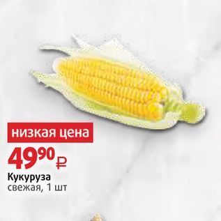 Акция - Кукуруза свежая, 1 шт