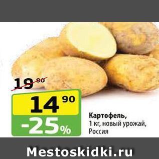 Акция - Картофель, 1 кг