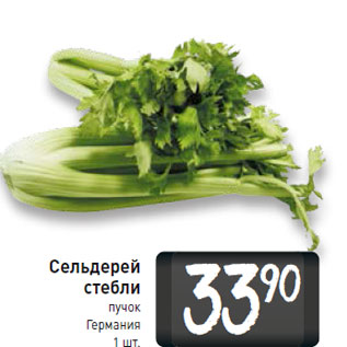 Акция - Сельдерей стебли