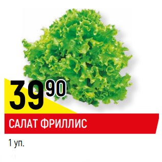 Акция - САЛАТ ФРИЛЛИС