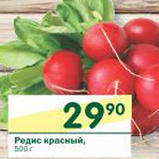 Акция - Редис красный