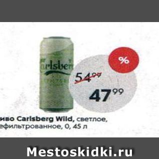 Акция - Пиво Carlsberg Wild