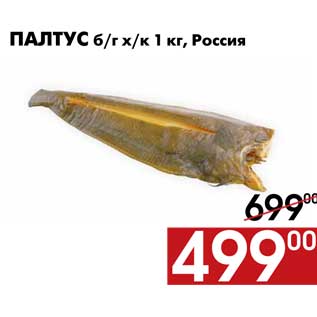 Акция - Палтус б/г х/к 1 кг, Россия