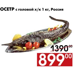 Акция - Осетр с головой г/к, х/к 1 кг, Россия