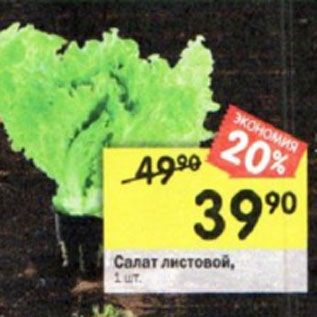 Акция - Салат листовой
