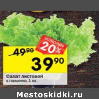 Акция - Салат листовой