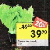 Магазин:Перекрёсток,Скидка:Салат листовой