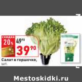 Магазин:Окей,Скидка:Салат в горшочке