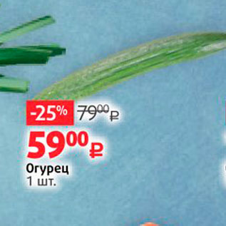 Акция - Огурец 1 ШТ.