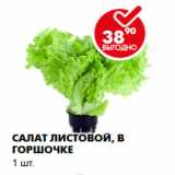 Магазин:Пятёрочка,Скидка:Салат листовой, в горшочке
1 шт.