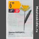 Магазин:Карусель,Скидка:Цветок НАРЦИСС, 20 см 

