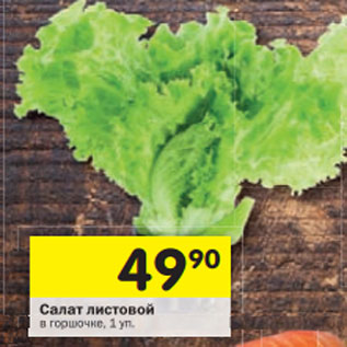 Акция - Салат листовой