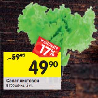 Акция - Салат листовой