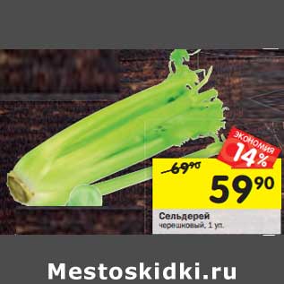 Акция - Сельдерей