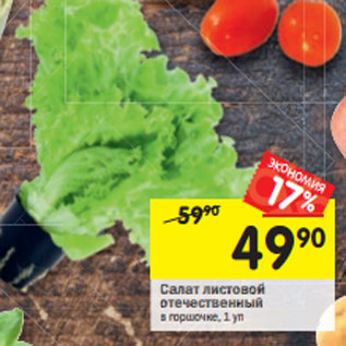 Акция - Салат листовой