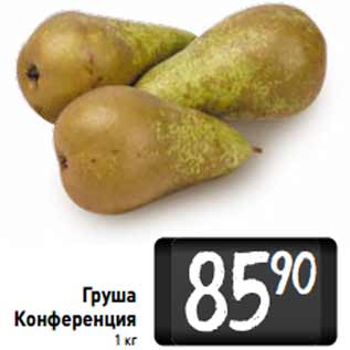 Акция - Груша Конференция
