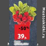 Магазин:Виктория,Скидка:Редис красный