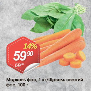 Акция - Морковь/Щавель свежий