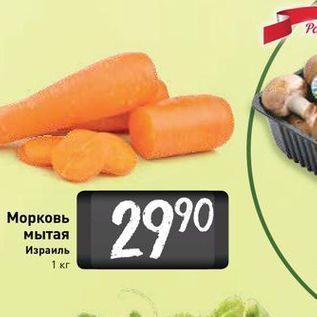 Акция - Морковь мытая Израиль 1 кг