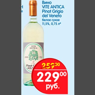Акция - Вино VITE ANTICA Pinot Grigio del Veneto