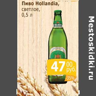 Акция - Пиво Hollandia светлое