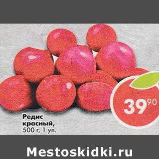 Акция - Редис красный