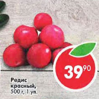 Акция - Редис красный