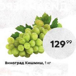 Акция - Виноград Кишмиш, 1 кг