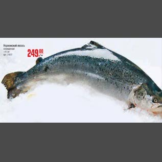 Акция - Норвежский лосось