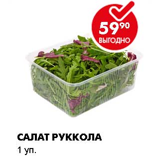 Акция - САЛАТ РУККОЛА